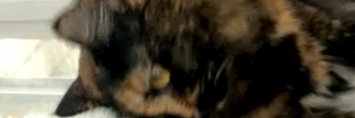 kNoCkii's profile banner image