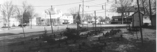 SlipperyElmLJ Profile Banner