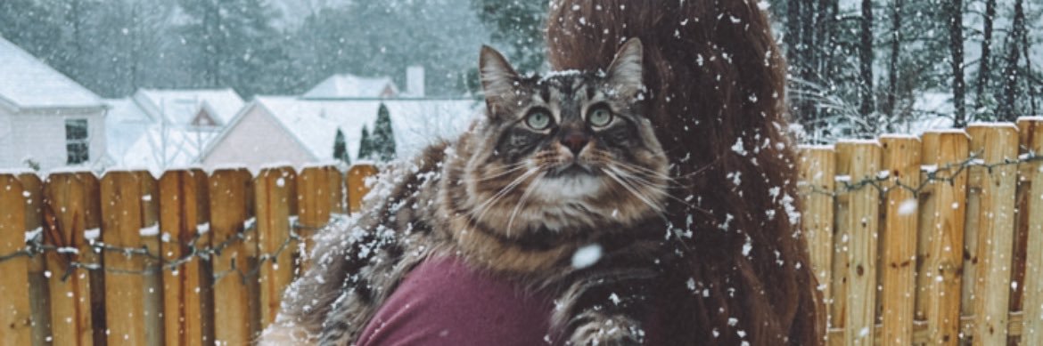 lacylane_4's profile banner image