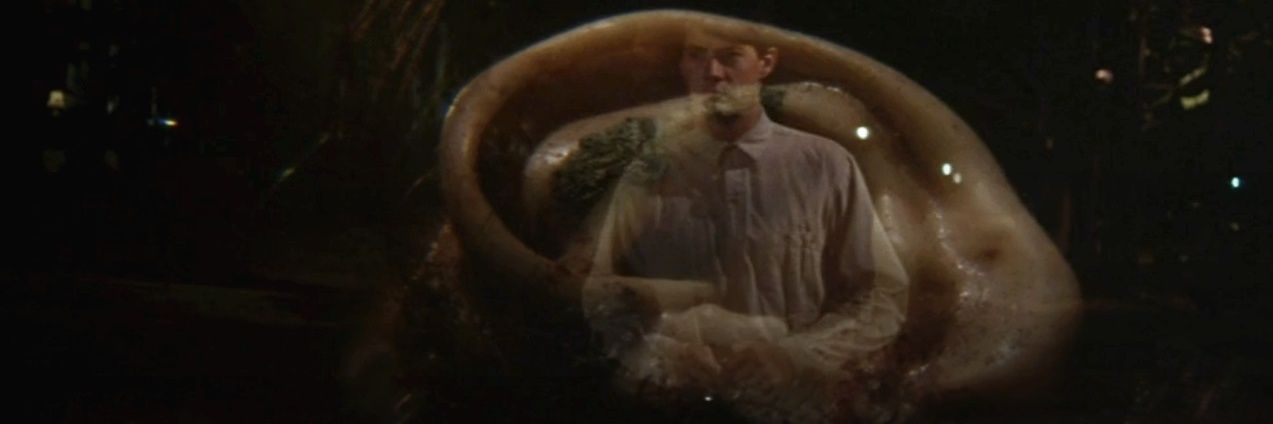 andre_ddc's profile banner image