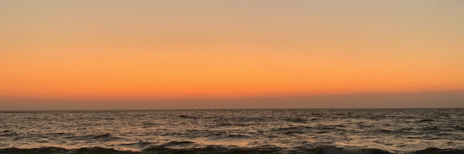 AbbyBitton's profile banner image