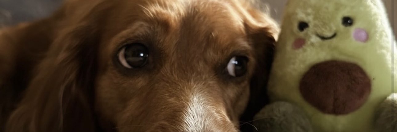 Biagio Chi? banner