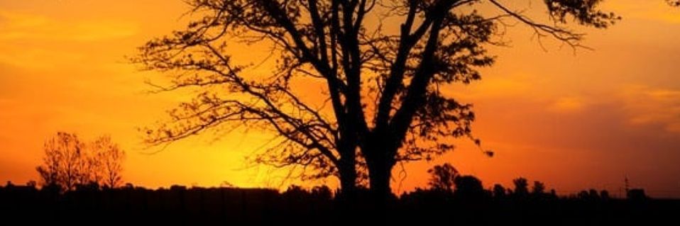 FABRICIOES_'s profile banner image