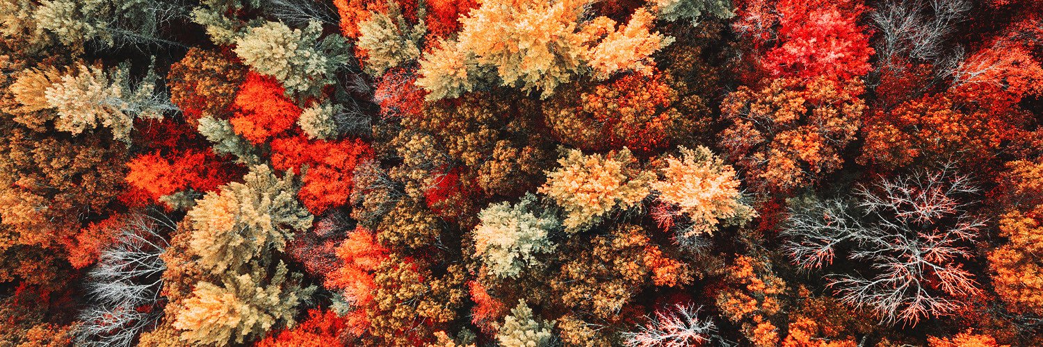 Business Fights Poverty banner