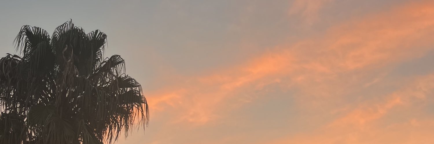 fidelledonne's profile banner image