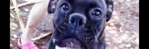 laubriii's profile banner image