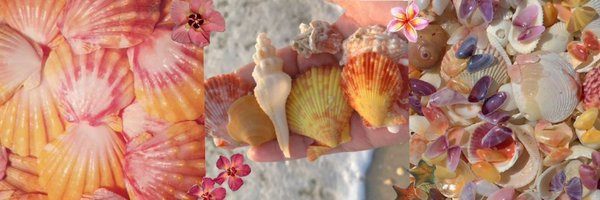 raspberiris Profile Banner