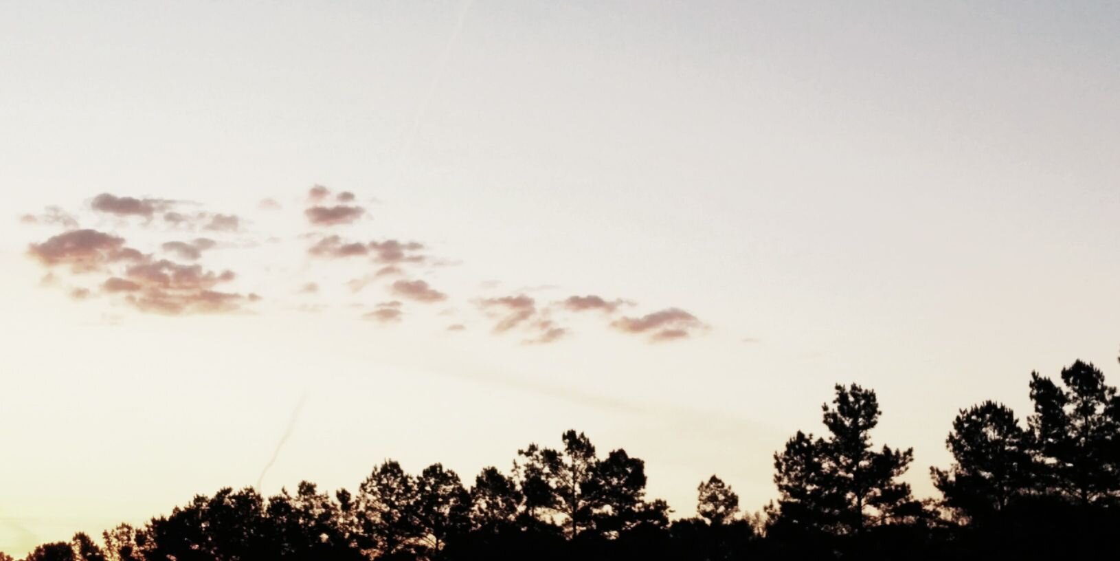 DAO247's profile banner image