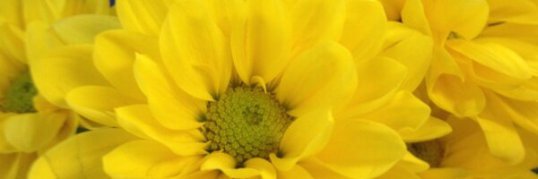 KarrieASnider Profile Banner