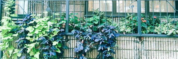 cc4100 Profile Banner