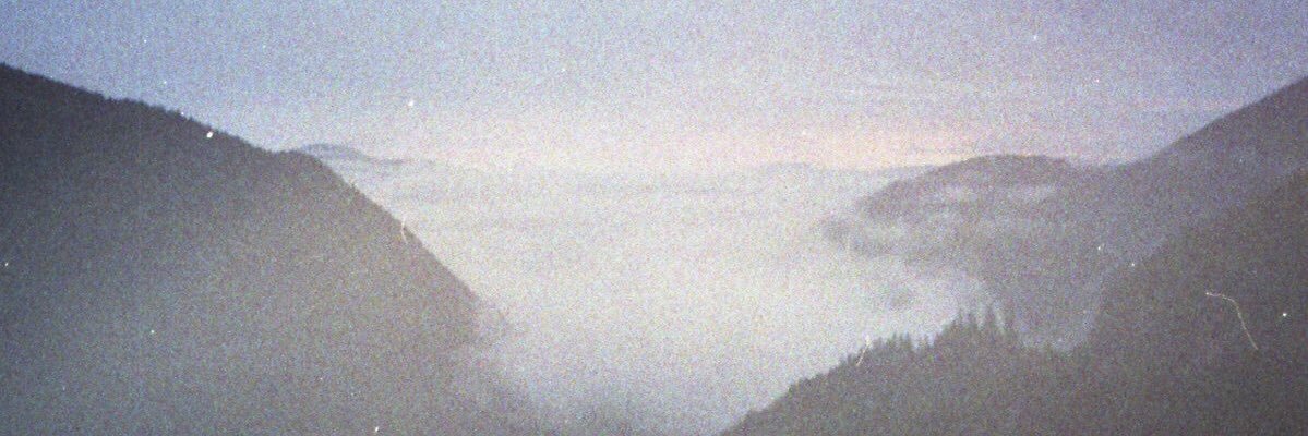 animalfaces's profile banner image