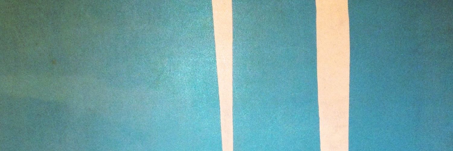 Odoreru_Manu's profile banner image