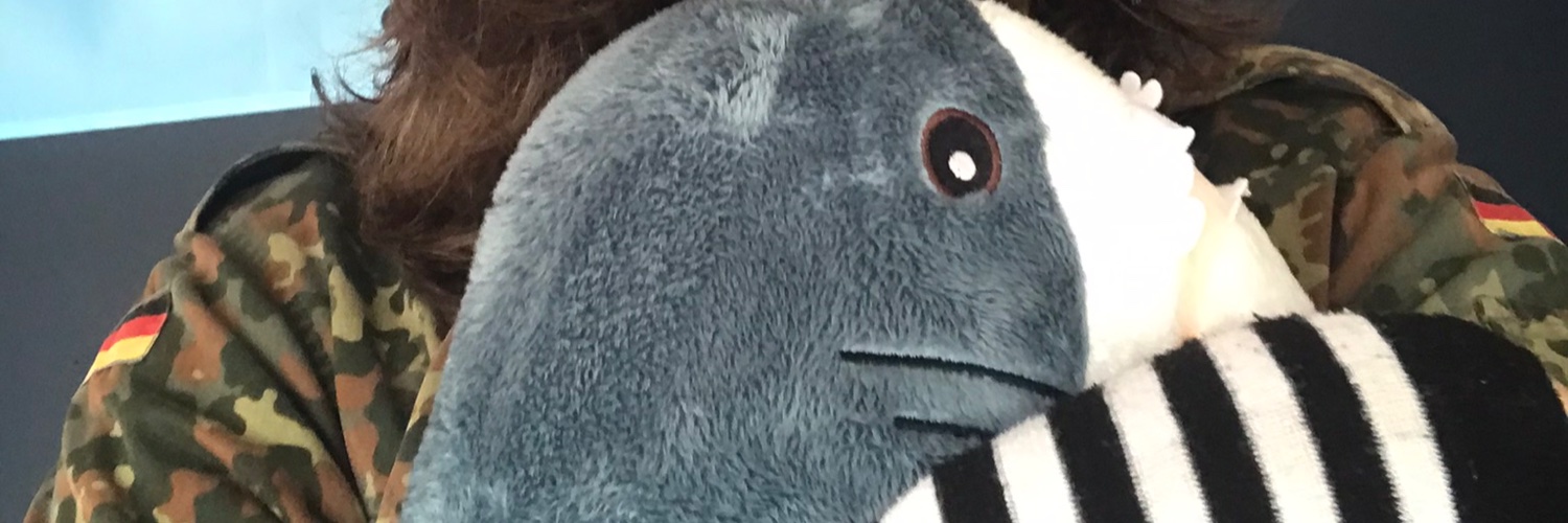 Anarcho-Kuomintangist-Transgenderist 🏳️‍⚧️ banner