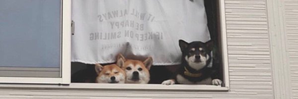 Lin_Chen_98 Profile Banner