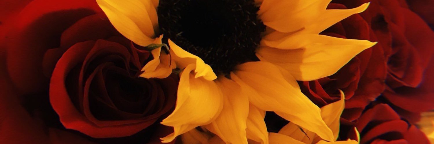 Superbso_'s profile banner image