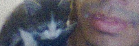 phaeldimie's profile banner image