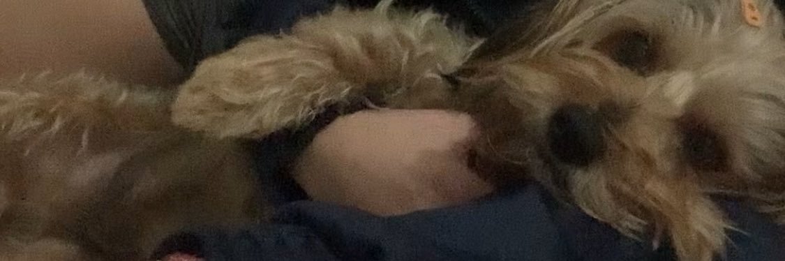 Stypaimm's profile banner image