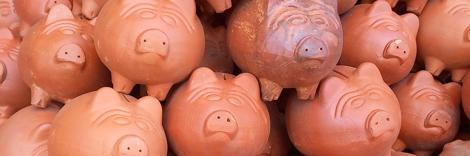 Post-Menopausal Peace Corps Volunteer 🇨🇴 banner