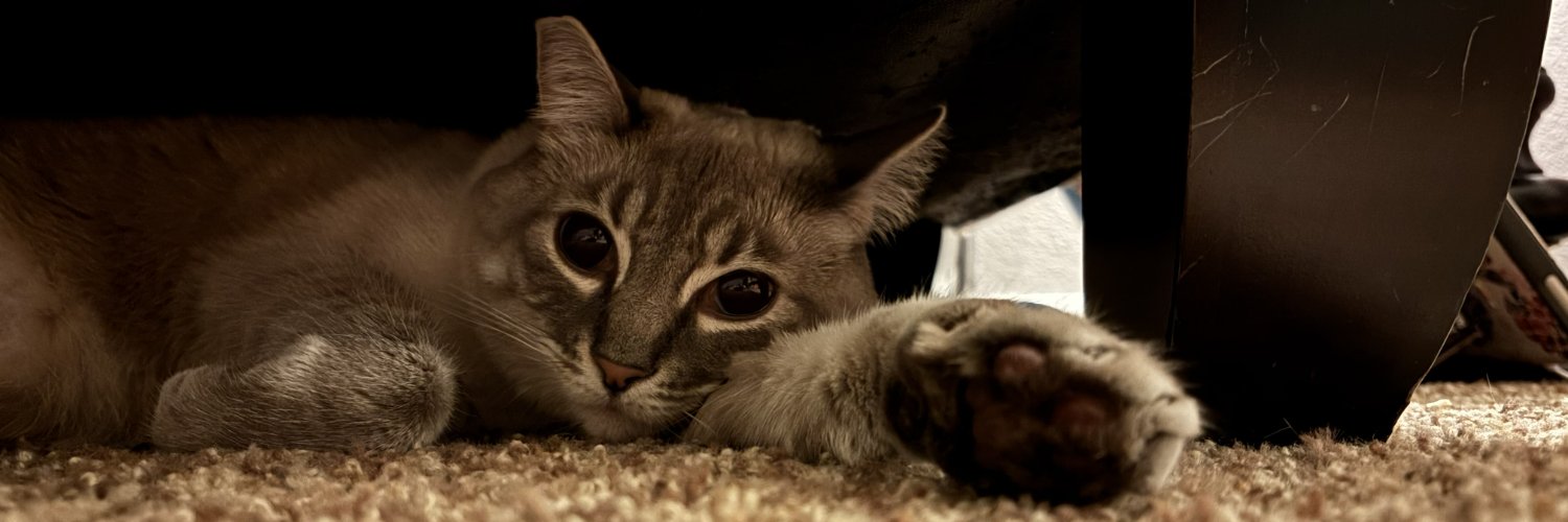 mimi's banner