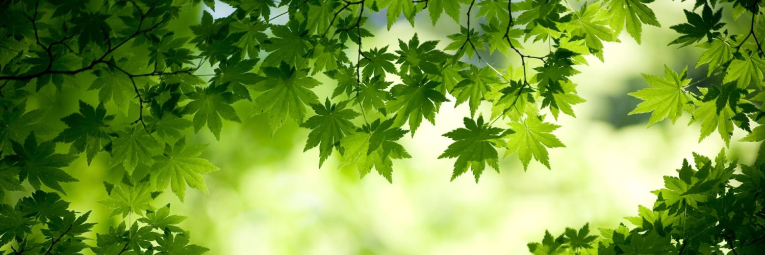 くろえもん/Yuto Yokota banner