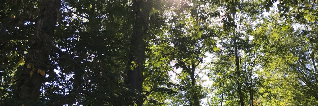 clark1dj's profile banner image