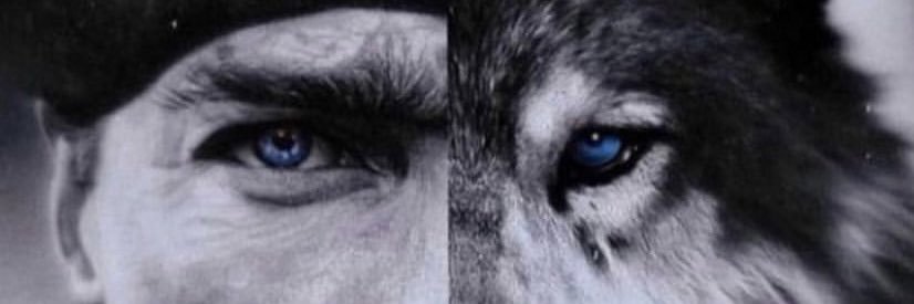 Ssmhasln's profile banner image