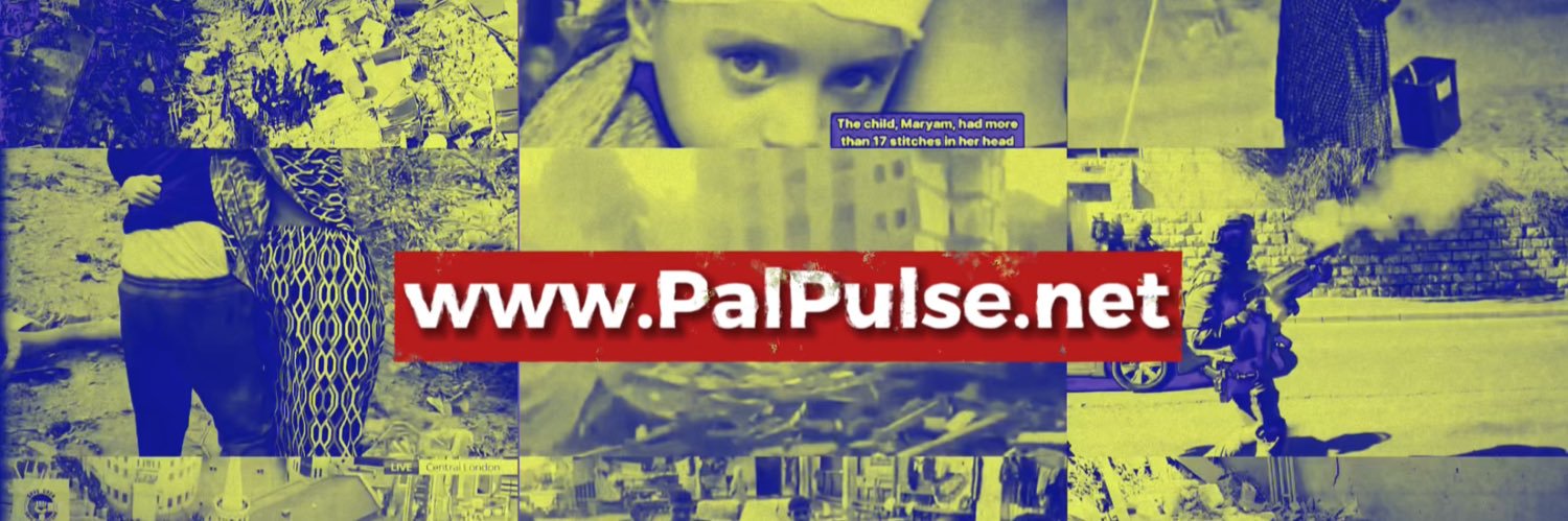 PalPulse's banner