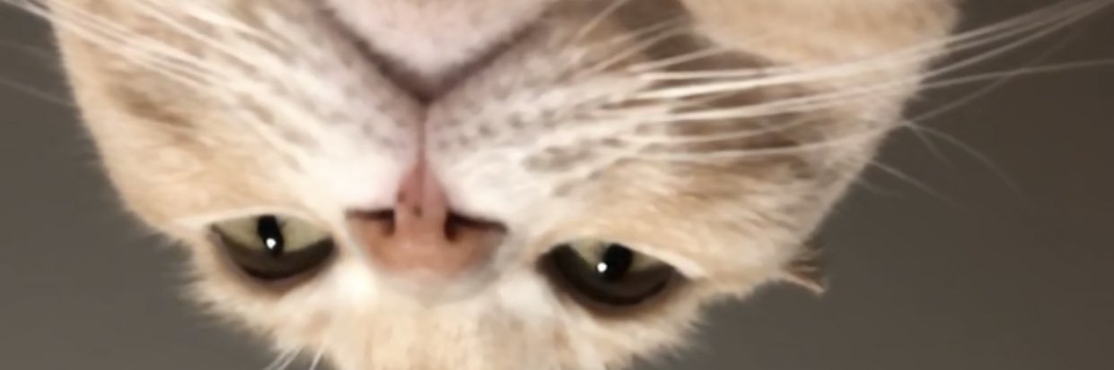 thehyrule97's profile banner image