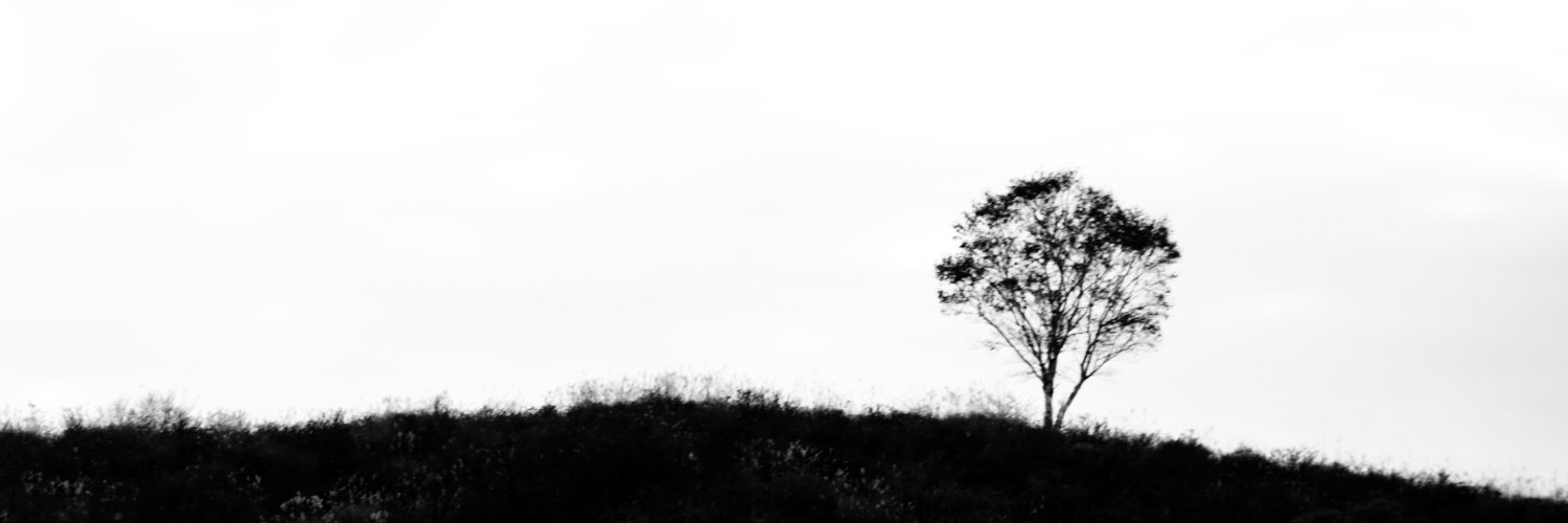blue_neet's profile banner image