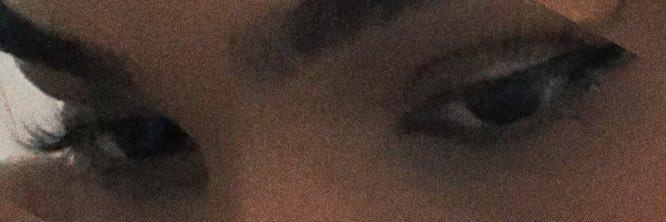 bibi 🐆 banner