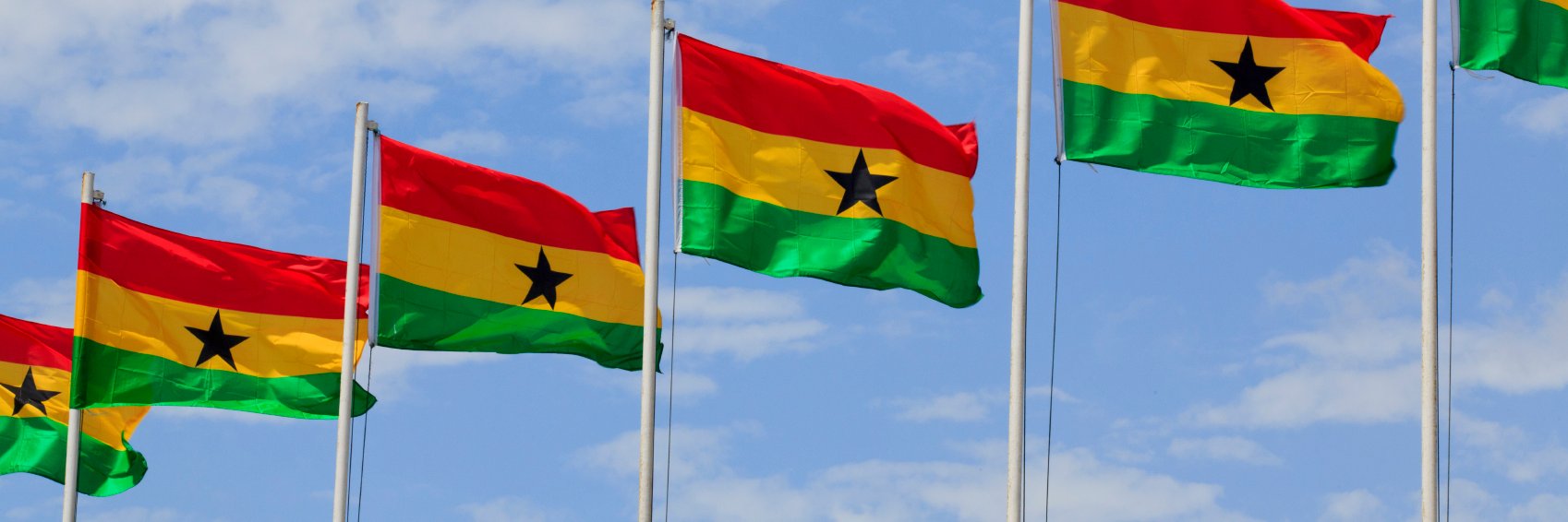 Lion Nehemiah banner