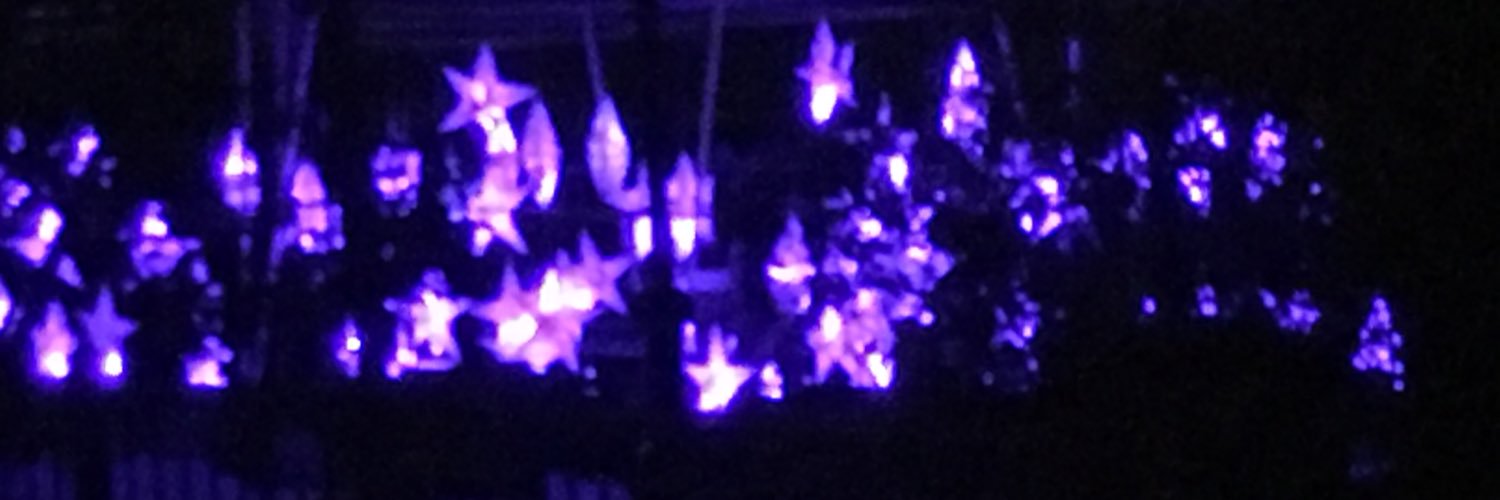 MeggieKwait's profile banner image