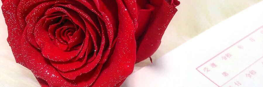 kikt29's profile banner image