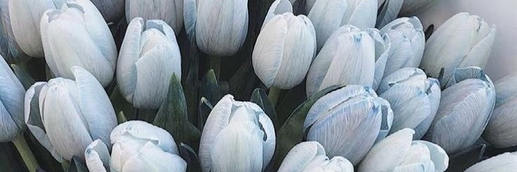 booo_tiful's profile banner image