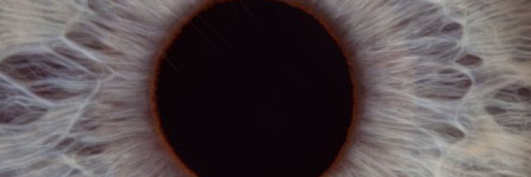 Liane Siebenhaar banner