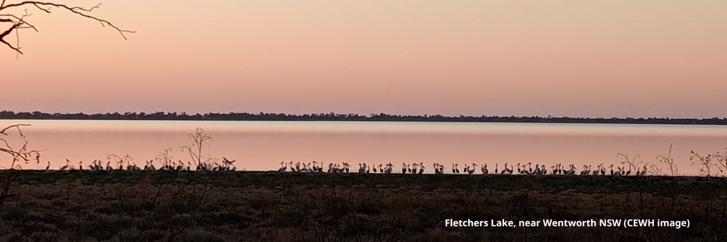 Environmental Water banner