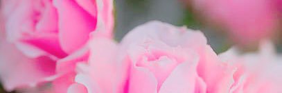 kanchi57's profile banner image