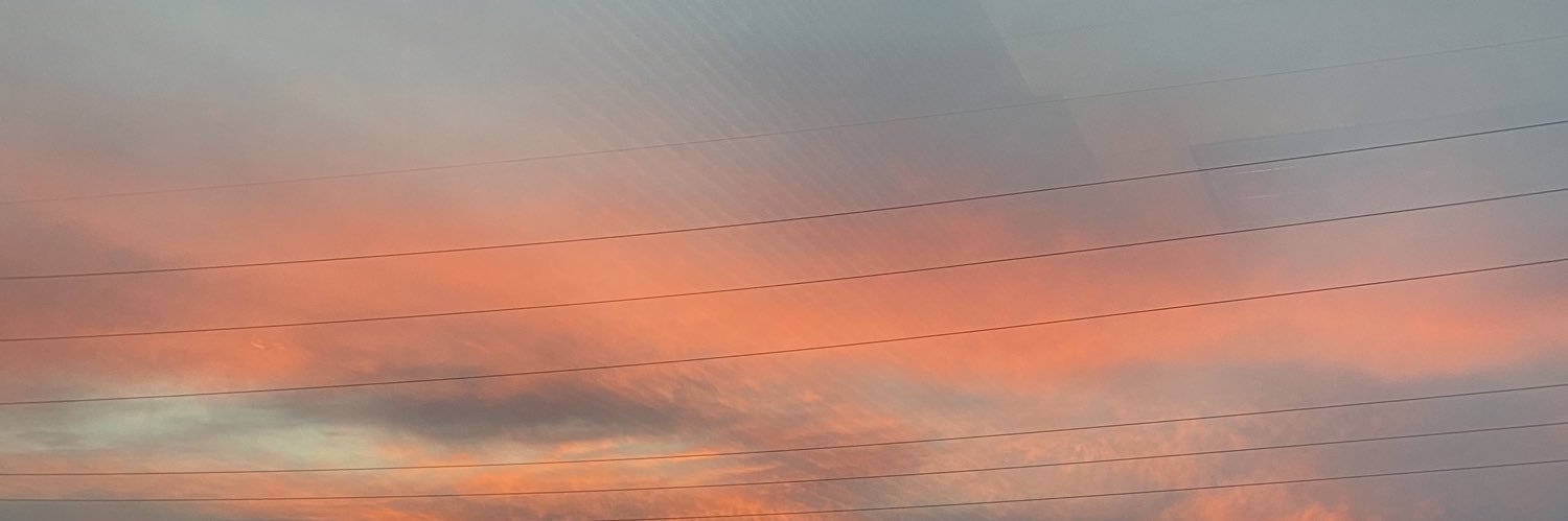 ARIELLNICHOLAS's profile banner image