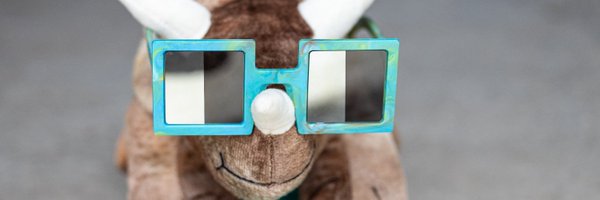 preciousnoggles Profile Banner