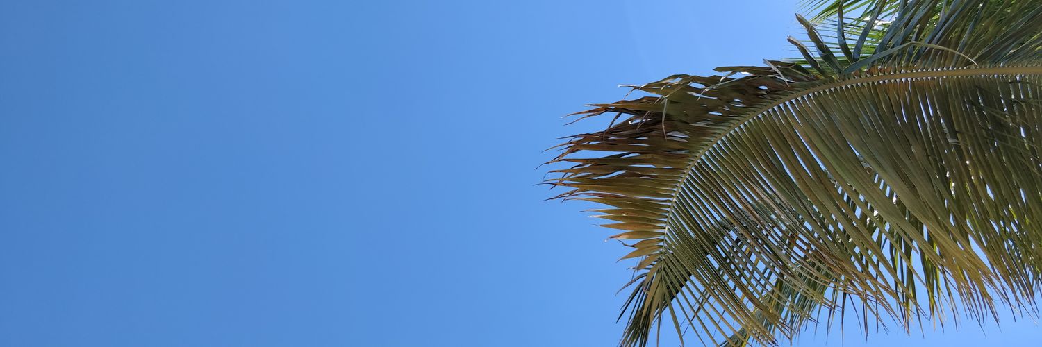 RUSHIKESH INGLE 🇮🇳 banner