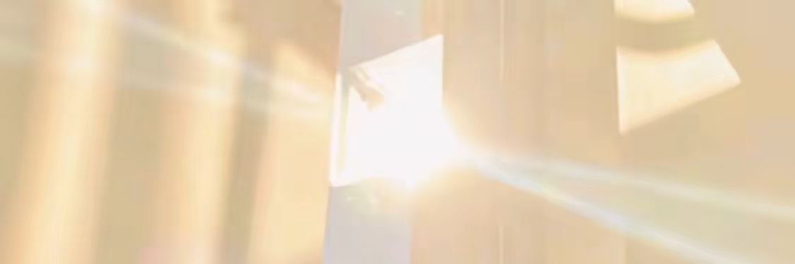 盘底的洋葱是我 banner