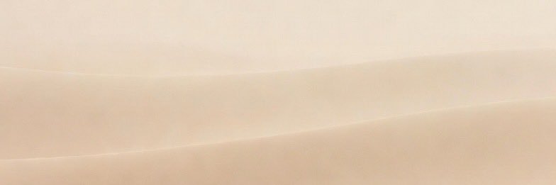 Susan banner