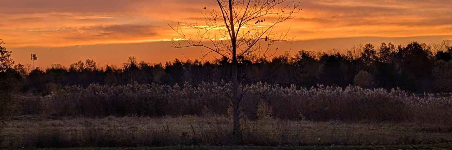 taurusloathe's profile banner image