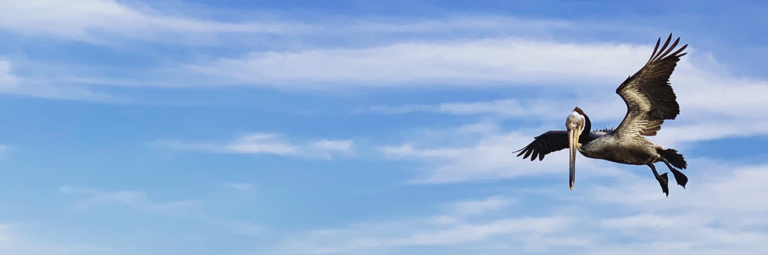 megadoodledo's profile banner image