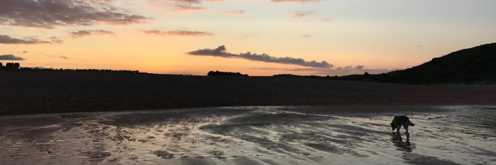 XMessyJessieX's profile banner image