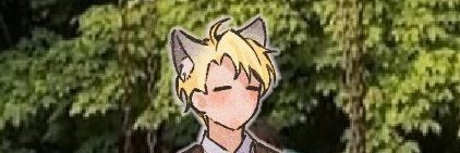 E banner