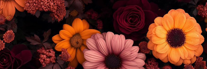 audreynr's profile banner image