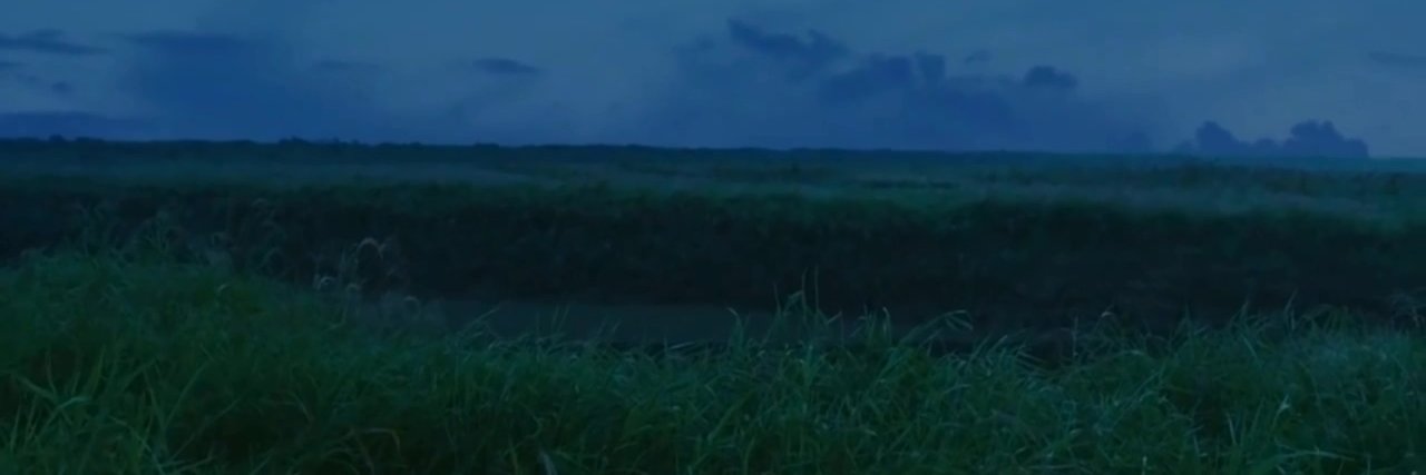 rain81db's profile banner image