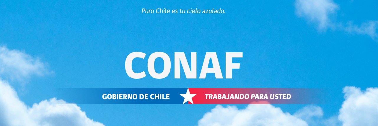 conaf_minagri's profile banner image