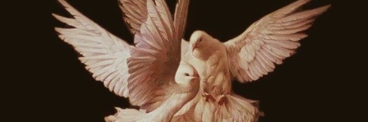 veritiel's profile banner image